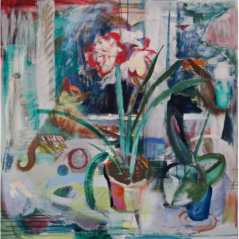 Amaryllis