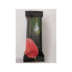 PROTEINOVÁ KONOPNÁ TYČINKA-DŘIŠŤÁL, BIO